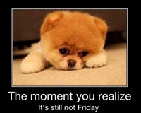 the moment you realize its still not friday